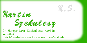 martin szekulesz business card
